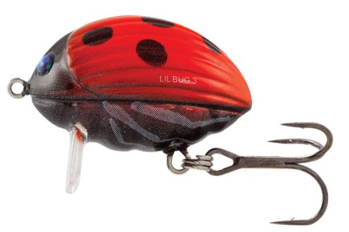 WOBLER Salmo LIL’BUG Floating 2,5cm Ladybird