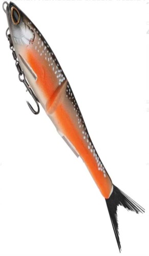 ARCTIC CHAR.jpg