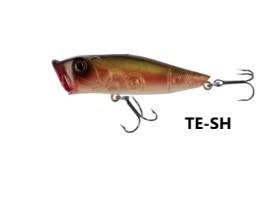 TESH.jpg