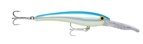 BSC.jpg