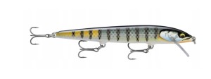 WOBLER RAPALA Floater Elite 12cm GDBG