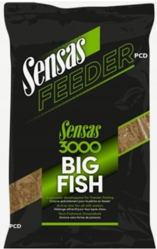 BIG FISH.jpg