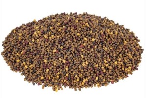 Pellet Lorpio BIG CARP MULTICOLOUR 3,0mm/4,5mm 700g