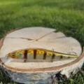 Wobler GERMINA Asp 10cm 10.5g Mirror Perch-sklep rybka