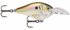 WOBLER Rapala Scatter Rap Series Shad Deep 7cm Live River Shad DSCR07RSL