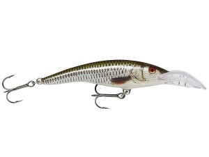 WOBLER Rapala Scatter Rap Series Shad Deep 7cm Live Roach DSCRS07ROL