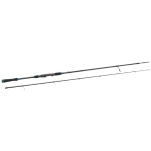 Wędka Spinningowa Berkley Air Salt 2,44m 10-30g