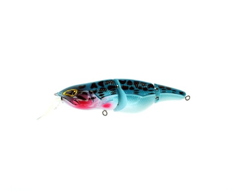 Wobler Rozemeijer Little Temptation SBR