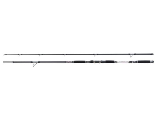 Wędka Jaxon Intensa GTX Catfish 2,85m 500g
