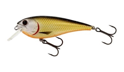 WOBLER Westin RawBite Crankbait 7cm 12g Floating Official Roach (P048-155-005)