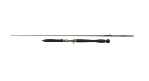 Wędka sumowa castingowa Penn LEGION CAT GOLD Inliner 180cm 250g 