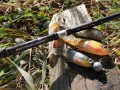 SG2 3.jpg