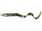 Savage Gear 3D Real Eel Bulk 15cm 12g Lamprey