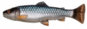 Savage Gear 3D Craft Trout PT 20cm 104g ROACH