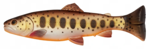 Savage Gear 3D Craft Trout PT 20cm 104g BROWN TROUT SMOLT