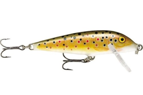 floater f05 tr.jpg