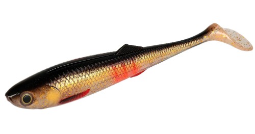 bleeding dace.jpg