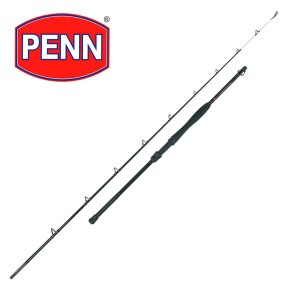 Wędka Morska Penn Regiment Boat 2,38m 30lb