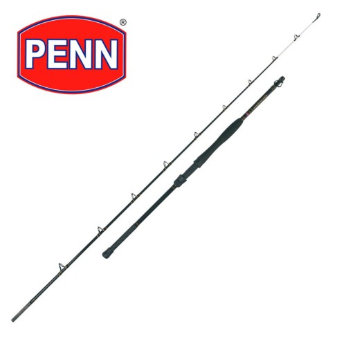 Wędka Penn Regiment Boat 2,38m 30lb 1303358