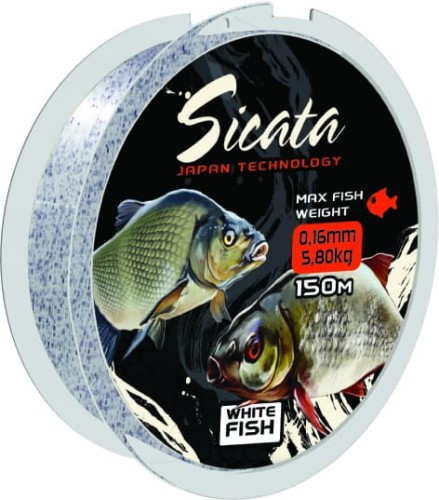 sicata.jpg