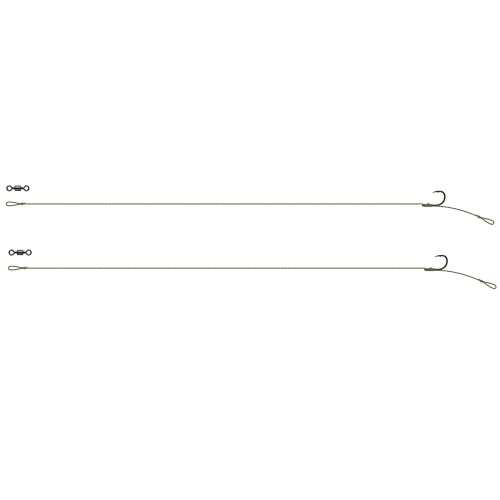 8541102.jpg