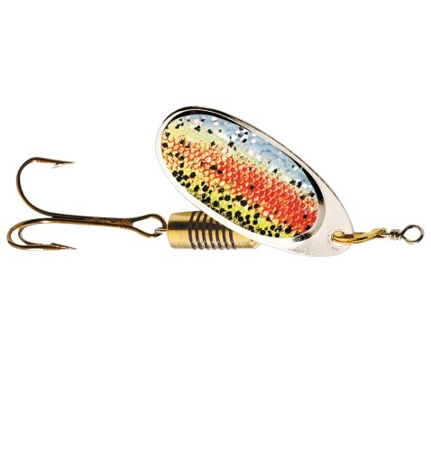 rainbow trout.jpg