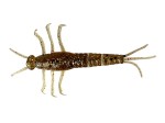 Savage Gear 3D PVC Mayfly 5cm  Brown 55114