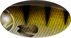Wobler Striker Pro baby buster Floating 10cm 25g C606E