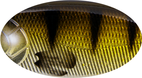 C606E-kolor-woblera-Strike-Pro.jpg