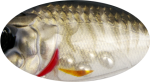 Wobler Strike Pro Twichy Minnow Floating 4.8cm 2.7g 887G