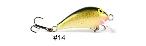 kolor_1008_14_model.png