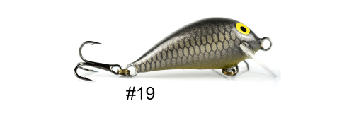 kolor_1013_19_model.png