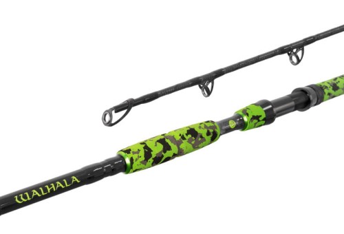 Delphin WALHALA.jpg