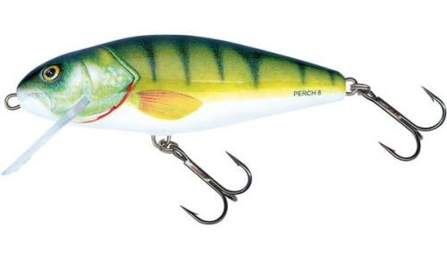 perch-qph024.jpg