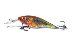 Wobler FishTank Charlie Floating 7 cm 11g Parrot