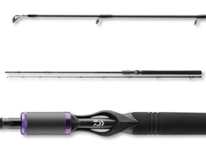 Wędka castingowa Daiwa Prorex XR  2,10 14-42 G