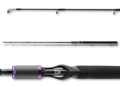 Wędka Daiwa Prorex XR Baitcast 2,55m 21-42g