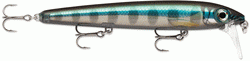 Rapala BX Waking Minnow 13CM 22G SDW