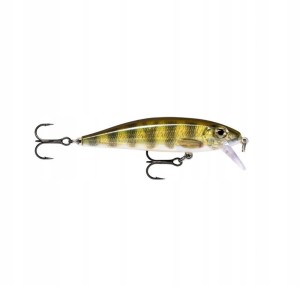 RAPALA X-RAP 10cm XR10-PEL