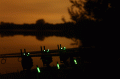 Fox RX+ MICRON 2 rod set CEI156 - ZESTAW SYGNALIZATORÓW