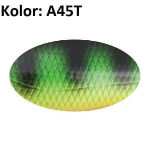 A45T.jpg