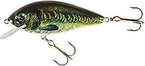 Jaxon Wobler Holo Select Valader 7F FKA