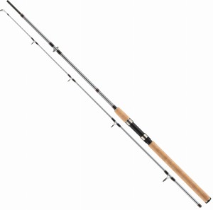 Wędka morska DAIWA SEAHUNTER X 270 100-200G
