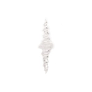 Nash Double Ended Screw