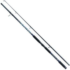 Jaxon Wędka Tenesa Catfish - 3.00m up to 550g 