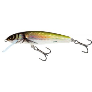 WOBLER SALMO MINNOW 6,0CM FLOATING - HOLO BLEAK