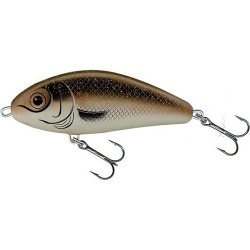 pol_pm_Wobler-Salmo-Fatso-10cm-48g-Floating-ARKANSAS-QFA062-13812_1.jpg