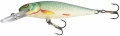 16.webp
