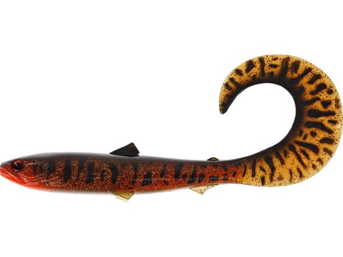 burbot.jpeg