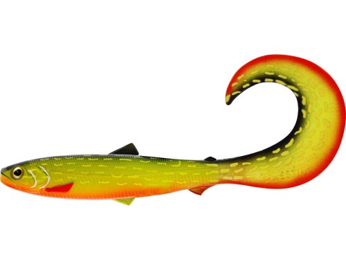 baltic pike.jpeg